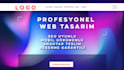 do custom, mobile friendly, SEO, wordpress website