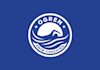 design icon intelligence swim coach logo