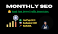 provide complete monthly SEO services for top google ranking