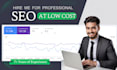 perform a detailed SEO audit with strategy plan