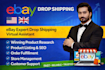 do expert ebay dropshipping research and optimization