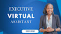 be professional executive virtual assistant and social media manager VA admin