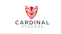 design an awesome modern security and technology logo