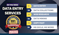 be your data entry, web research, virtual assistant expert