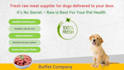 create marketing powerpoint presentation