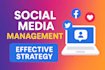 do professional social media management and gmb optimization
