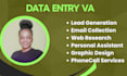 do data entry VA, lead generation email collection, and research