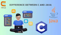 script java python bot c cpp sql database coding programming project developer