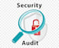 conduct a professional security audit for your systems