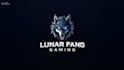 do wolf esport gaming mascot logo with compony
