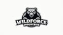 do modern professional grizzly bear mascot logo