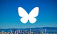 elevate your content with bluesky limitedtime promotion