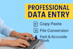 do accurate data entry and file conversion