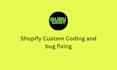 shopify custom coding and fix shopify bugs
