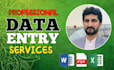 do excel data entry, copy paste, typing, data entry