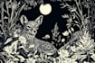 create digital drawings of botanical, animals and birds