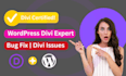 fix divi theme issues and customize your divi wordpress website