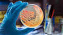 do science tutoring microbiology, genetics, nursing, lab