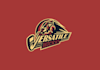 create cool hockey camps teams logo