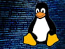 virtual server setup and troubleshooting centos ubuntu whm