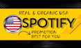do professional spotify music promotion