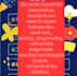 develop, design a very good business plan as well as presentation