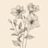 create botanical line art