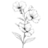 draw line art vector illustration of plants and flowers