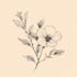 do hand drawn feminine line art botanical boho logo creation
