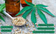 publish cbd, cannabis, and marijuana guest posts