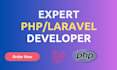 create laravel dynamic website for startups