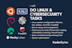 do linux and cybersecurity tasks
