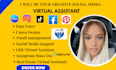 do instagram mass dm linkedin posts reels executive virtual assistant data entry