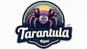 design outstanding tarantula logo with express delivery