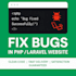 fix bugs and errors in your laravel or PHP website