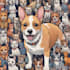 do a custom pet portrait, dog portrait, cat portrait