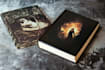 illustrate a professional book cover