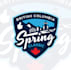 design express professional spring classic logo