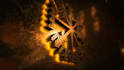 create a beautiful 3d animation in the viking style