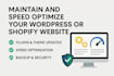 maintain and speed optimize your wordpress or shopify website