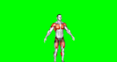 green screen video editing