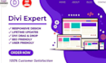 be divi expert for wordpress website using divi builder