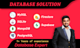 do database design and database development with dashboard