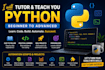 tutor and teach you python, beginner to advanced