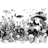 draw black and white illustrations