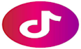 do group dance, tiktok dance, shuffle dance, group dance, twerk, ballet dance