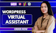 be your wordpress virtual assistant for wordpress website management
