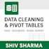 clean your data and create professional excel pivot tables
