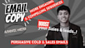 do high converting email copy using proven strategies within 24h