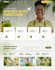 build an elegant cleaning website